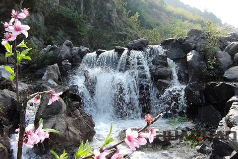 『隨華全，觀天下』 ——走進上虞
