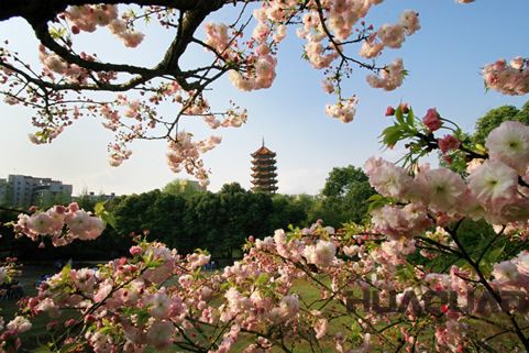 『隨華全，觀天下』 ——走進渝北