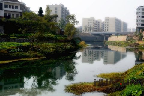 『隨華全，觀天下』 ——走進漣水
