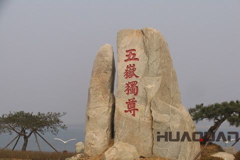 春晚花落泰山？華全機組關注之余還做了這事兒