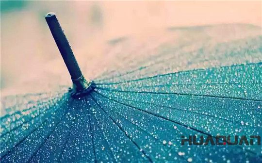 五月的雨，灑遍濰坊，鮮活了一座城，清新了城里的華全人