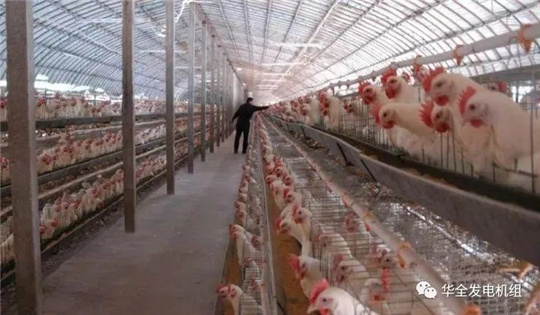 華全燃氣發電機組深受畜牧養殖業喜愛，竟是因為這！